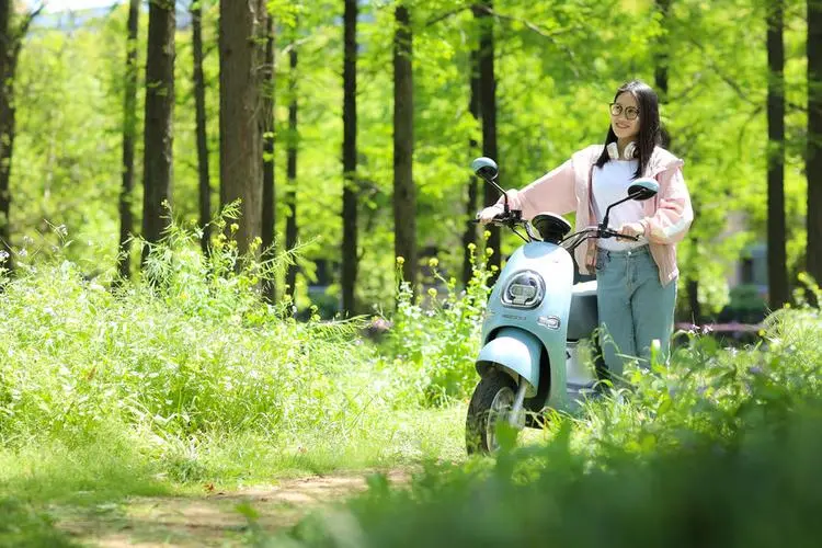 為什么大部分電動車都用鉛酸電池而不是鋰電池？原因是什么？